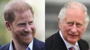 Tras más de un año sin verse, el Príncipe Harry se reúne con el rey Carlos III