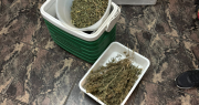Le encontraron casi 800 gramos en cogollos de marihuana y un revólver en Rawson y terminó arrestado