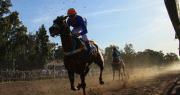 “Solicitadísimo”, el caballo sanjuanino que ganó de punta a punta el Clásico Domingo Faustino Sarmiento
