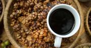 Si estás tomando esta cantidad de tazas de café por día, podrías reducir tu esperanza de vida