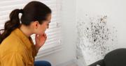 El truco infalible para evitar el moho en la pared de forma rápida y sencilla