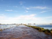 Una tragedia anunciada: advierten que la superficie afectada por las fuertes lluvias supera las 3 millones de hectáreas en Buenos Aires
