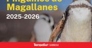 Chubut recibe a los Pingüinos de Magallanes