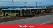Chubut suma 10 colectivos 0 kilómetro adaptados para discapacidad
