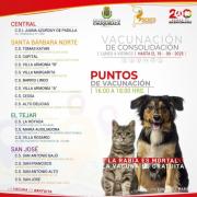 Sucre suma 37 casos de rabia canina