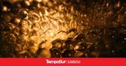 El Oro al Alza: Precios Actualizados en el Mercado Internacional