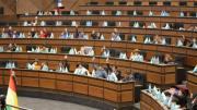 Cámara de Diputados aprueba la ley de diferimiento de créditos y la pasa al Senado para su análisis