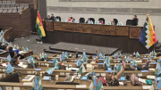 Cámara de Diputados aprueba la ley de diferimiento de créditos para la vivienda social