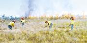 El Gobierno reporta que se controlaron los incendios en los parques San Matías y Noel Kempff Mercado