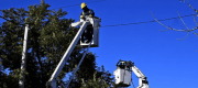 ¡Atención Neuquén! CALF anunció un corte de luz para el domingo: podría durar más de seis horas