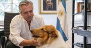 Alberto Fernández reapareció en redes y presentó a su nuevo perro con nombre rockero