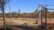 Agroinsumos caros preocupan a productores de Tarija