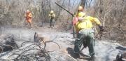 Gobernación de Santa Cruz declara emergencia departamental por incendios