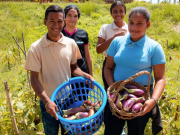 VenMundo organiza Arepas Estrellas, para enriquecer la gastronomía venezolana