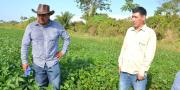 Proyecto en Ixiamas tiene resultados alentadores y perfila producir 3 toneladas de soya por hectárea