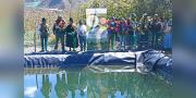 En Sapahaqui entregan más de 40 sistemas de almacenamiento de agua para la producción de durazno