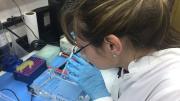 Estudio: la inversión en bienes de capital para hacer ciencia se redujo 65% en dos años