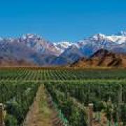 Noticias de Mendoza