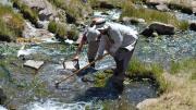 Descubren una nueva especie de crustáceo en aguas termales del Domuyo