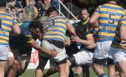 Ganaron La Plata, Los Tilos y San Luis en el Top 12 del Rugby de la URBA