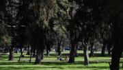 El tiempo en Tucumán: pese a la nubosidad, se anuncia un domingo caluroso