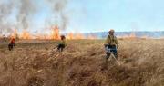 Reportan ocho incendios forestales en el país y combate del fuego en el Parque Noel Kempff se hace vía aérea