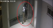 Video: rompieron la puerta de un edificio de La Plata para robar, no encontraron nada y quedaron escrachados