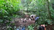 Hallan rastros humanos de hace 6000 años en Iguazú