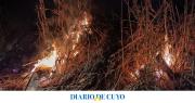 Bomberos debió combatir al menos 6 focos de incendios forestales en las ultimas horas