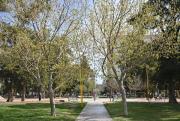 Semana primaveral en el Alto Valle: temperaturas arriba de los 20°C, qué día llegan el viento y la lluvia