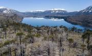 Sequías y calor, una vez más, están poniendo en riesgo a los bosques del Sur