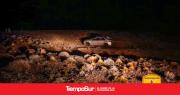 Rescatan a un vehículo que volcó en la Ruta N°40