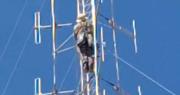 Se muda una reconocida radio sanjuanina y enfrenta el trabajo más delicado: bajar la antena