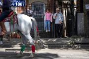 México sin fiesta patria: el miedo que obligó a suspender las celebraciones en Chicago