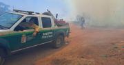 Gobierno reporta cinco incendios forestales en Bolivia, todos se concentran en Santa Cruz