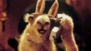 De “La llama que llama” a los creadores de contenido: cómo cambió la forma de hacer publicidad