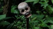 La Isla de las Muñecas: el tétrico lugar que inspiró a Lady Gaga y Tim Burton