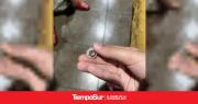 Una bala casi mata a una vecina durante un feroz tiroteo 