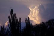 Martes en Neuquén y Río Negro: tardes primaverales antes de tormentas y ráfagas de viento