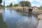 La revolución del riego: La Cooperativa de Irrigación de General Roca: un modelo pionero de colonización y gestión del agua