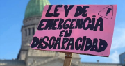 El gobierno reglamentará la ley de Discapacidad, pero