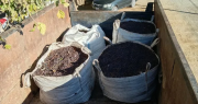 Una banda de ladrones se alzó con 4.500 kilos de pasas de uva en Carpintería