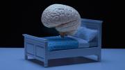 Dormir poco impacta en la memoria, el corazón y la esperanza de vida, advierten expertos