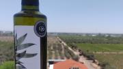 Un aceite de oliva de Mendoza, entre los 15 mejores del ranking mundial