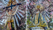 Una multitud de fe: así fue la procesión del Señor del Milagro 2025 en Salta en fotos