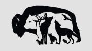 Acertijo visual: solo las personas con una vista excepcional logran resolver ver a todo los animales