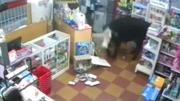 Una vaca entró a una librería en Entre Ríos y provocó la sorpresa de los clientes