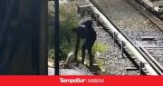 Intentó robar cables del tren Mitre, casi muere electrocutado y terminó detenido