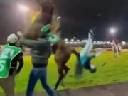 El impactante video del momento en el que un caballo golpea a su jockey, que sale volando inesperadamente