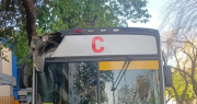 Un colectivo chocó contra una rama en plena Libertador y una pasajera terminó hospitalizada